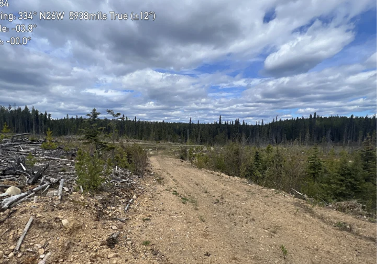 Access road through the forest at Lennac Lake