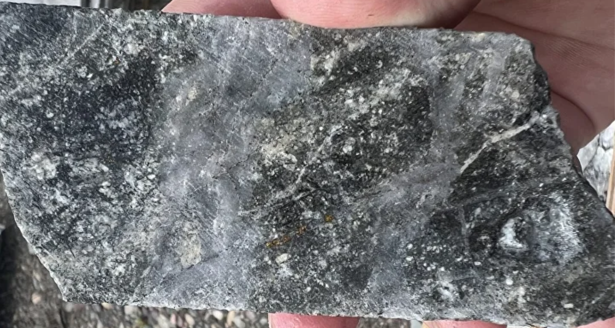 Close-up of dark mineralized rock sample
